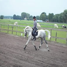 Training Sanne van Pul met Shadow